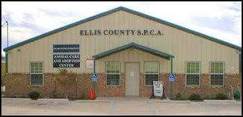 The Ellis County SPCA