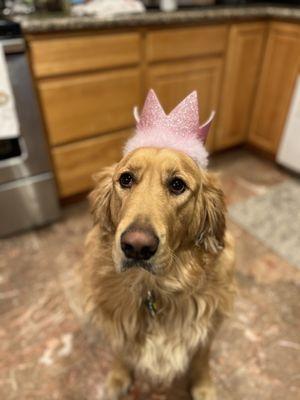 Birthday girl Penny , not pleased with the hat but she was a good sport.