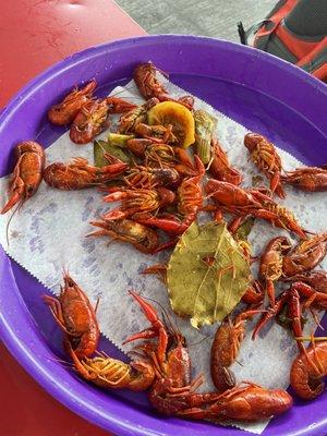 Boiled crawfish