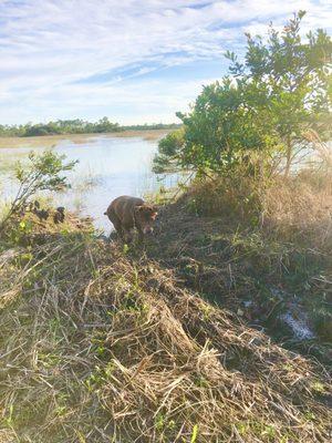 Brina out for a swim after a quick visit with Dr. Vinoski.