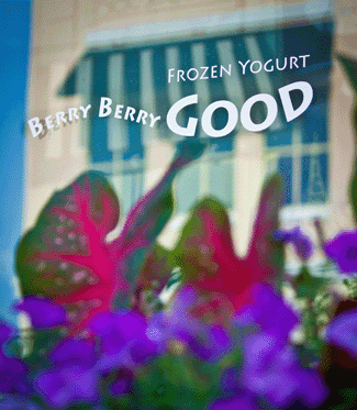 BERRY BERRY GOOD YOGURT