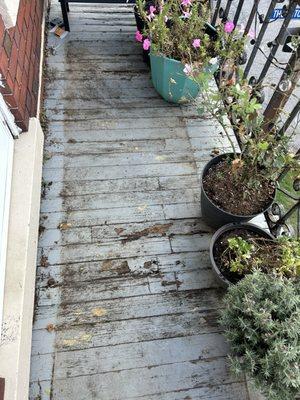 Rotted out balcony. Railings are rusted and not secure.