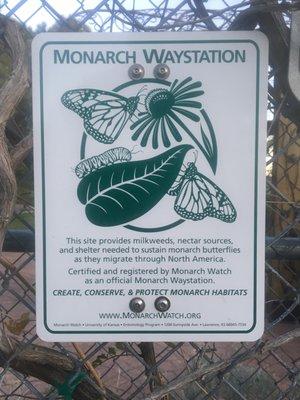 Monarch Butterfly Waystation