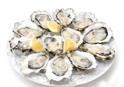 Recently, fresh oysters are very good