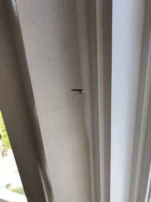 Saw cut inside house at window frame.