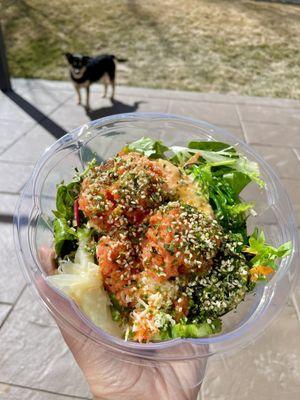 2 Scoops Poke (dog not included)