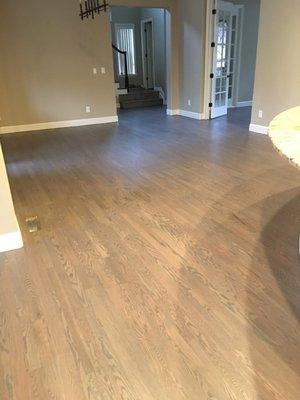 Red Oak stained Gray and Jacobean in Highlands Ranch