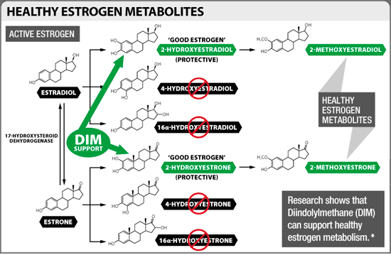 Healthy Estrogen metabolism and how we can help.