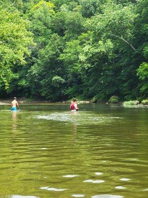 They were chasing fish. The water is clear & typically not super fast moving.