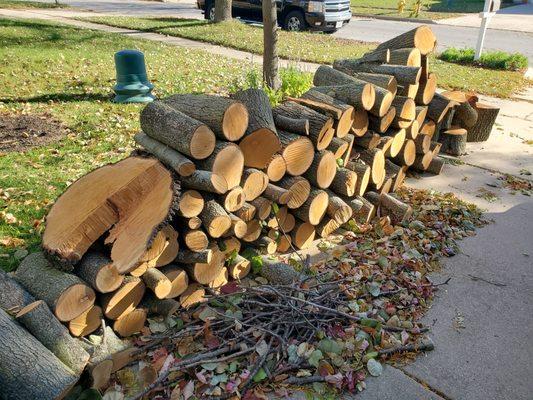 The nice firewood from our tree that they chopped up and neatly stacked on our driveway. A great bonus!