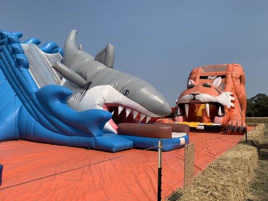 Bounce houses and slides