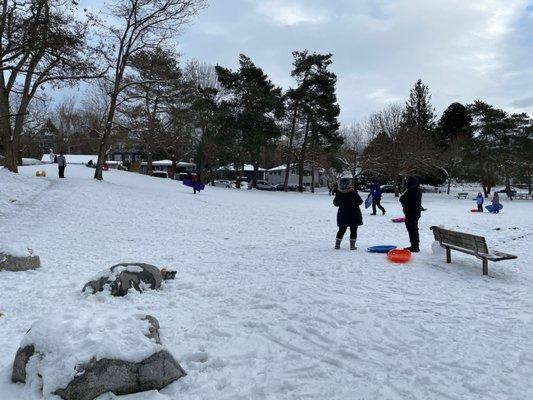 Busy sledding snow day!