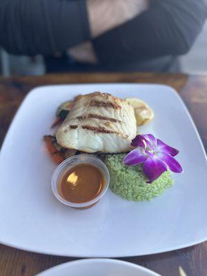 Halibut