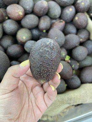 Small avocados for $1.00 (5)