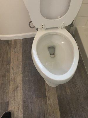 Toilet after