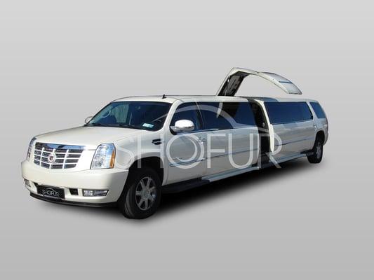 Tampa Limo Service: 20 Passenger Cadillac Limo