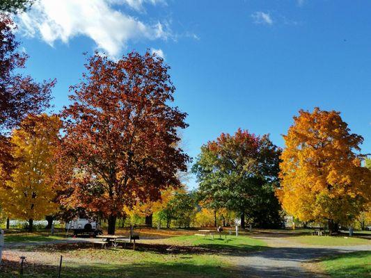 Campground during foliage season.