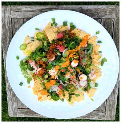 Poke Nachos - great to share with friends.