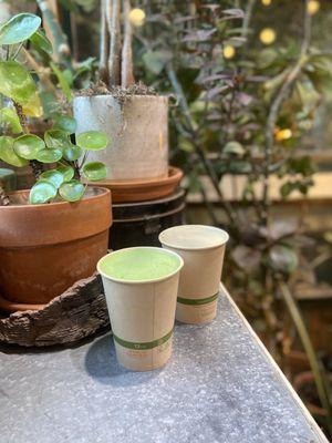 Matcha Latte, Hojicha Latte