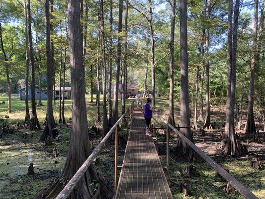 Awesome walkway at cabin # 4