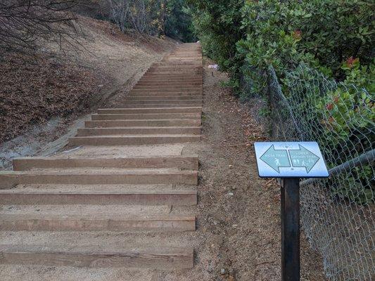 Mesa trail and lower canyon trail split