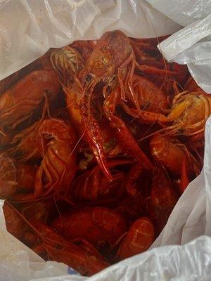 Crawfish