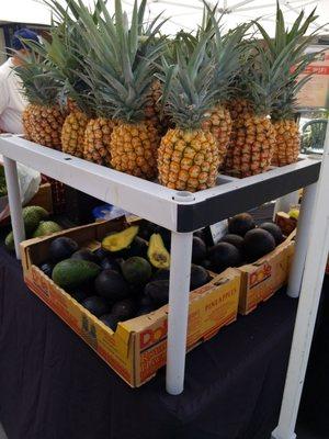 Huge avocados and locally grown pineapple