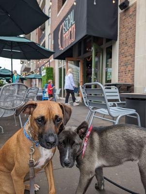 Nice outdoor seating and dog friendly!