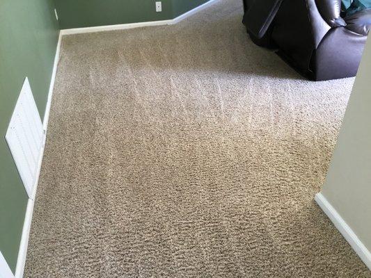 Billy made my very old carpet look new again!