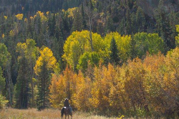 Utah Mountain Horseback Riding at Rising K Ranch