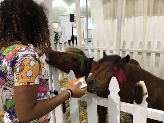 Los Angeles Green Festival Expo