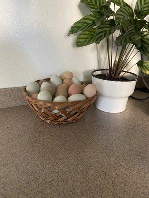 Egg basket