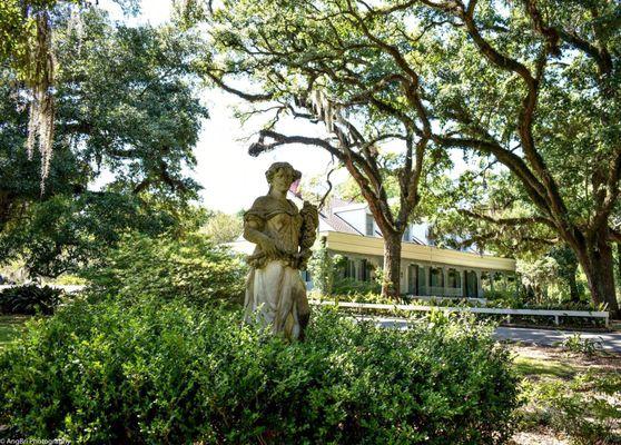 The grounds and Myrtles plantation house.