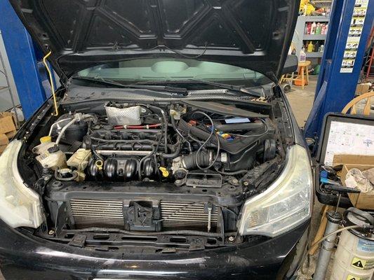 Ford Focus Full tune-up and radiator replacement