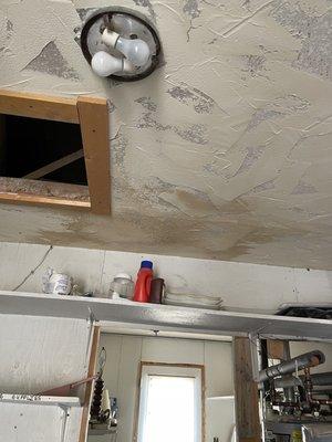 5 different types of mold spores found in the ceiling and utility room. Black mold spores were in the 100,000s.