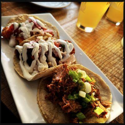 Taco Tuesday: (L to R) Grilled Shrimp taco, Fried Shrimp taco, and Carnitas taco