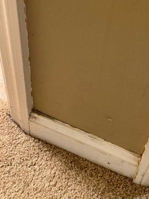 Dirty/moldy trim and baseboards