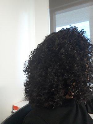 One week after my cut. The curls are healthy and I love the layers.