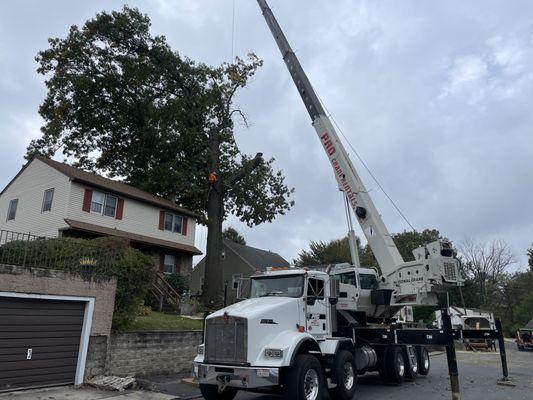 They brought in a 50 ton crane to assist the removal.