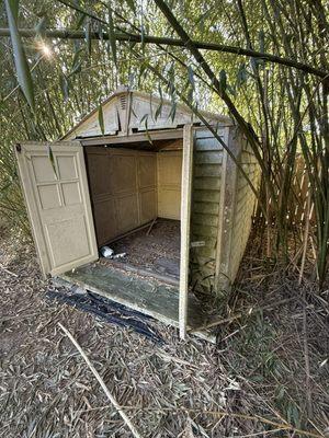 Client wanted this shed removed