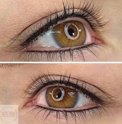 Eyeliner (top&bottom)