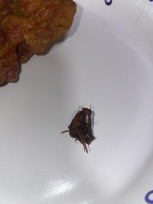 The bug found ON my chicken teriyaki