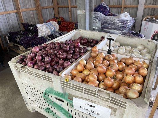 Onion pricing