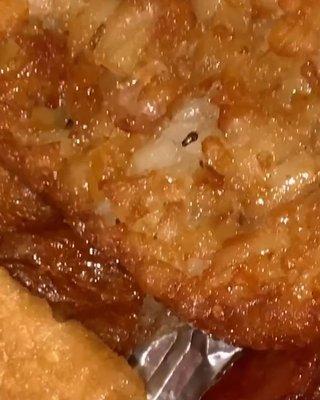 Roaches embedded in the hash browns.