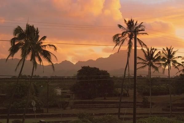 Mountain view to the left off the lanai (stupid power lines)