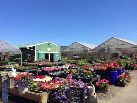 Johnson Brothers Greenhouses plant nursery and garden center in Eugene.