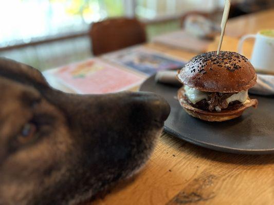 Cheese burger, with caramelized onions. No veggies. He likes it medium rare.