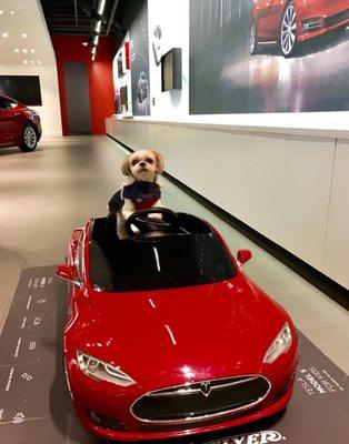 Mocha Coconut is stylin and profilin in this beautiful Model S Tesla.