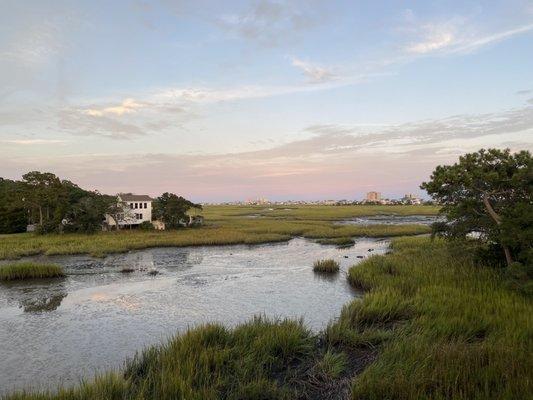 Marsh view