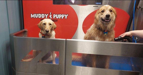 Baths definitely can be a love hate relationship. But it's all love for us humans with our 24/7 self-serve dog wash stations!